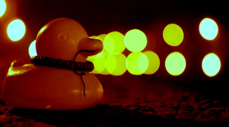 Illustration for article titled Shooting Challenge: Bokeh, Gallery 5